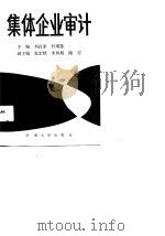 集体企业审计（1989 PDF版）