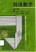 经济数学 下 1990 PDF电子版封面 7531606836 刘兴权,王家兴主编