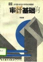 审计基础（1994 PDF版）