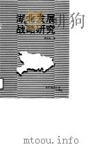 湖北发展战略研究（1989 PDF版）