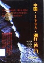 中国,1993,潮打“关”门 1993 PDF电子版封面 7561407599 李道钧等编著