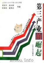 第三产业的崛起 兼论山东省第三产业新兴行业发展战略 1995 PDF电子版封面 7560715567 范爱军等著