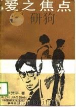 爱之焦点（1989 PDF版）