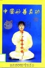 中国妙善真功 1999 PDF电子版封面 柳英