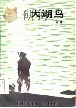 大湖鸟 1985 PDF电子版封面 高锋著
