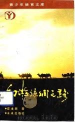 幻游“丝绸之路”（1991 PDF版）
