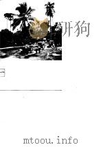 金太阳照亮了西双版纳（1978 PDF版）
