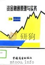 资金融通原理与实务 1994 PDF电子版封面 7504424692 李树之,邓庆远主编