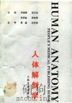 人体解剖学 1994 PDF电子版封面 711702089X 李福耀等主编
