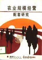 农业规模经营配套研究（1989 PDF版）