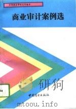 商业审计案例选（1993 PDF版）