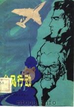 台风行动（1981 PDF版）