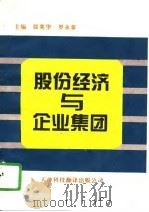 股份经济与企业集团（1995 PDF版）