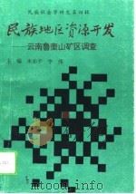 民族地区资源开发 云南鲁奎山矿区调查 1993 PDF电子版封面 7810252909 朱赤平,李伟主编