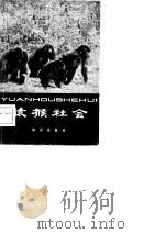 猿猴社会（1982 PDF版）