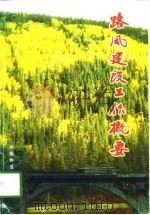 路风建设工作概要 1998 PDF电子版封面 7113029264 刘贵学主编