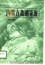 内蒙古盐湖资源（1989 PDF版）