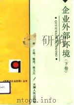 企业外部环境 下 1992 PDF电子版封面 魏埙,杨玉川
