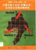 宁夏北部工业区  石嘴山市  经济综合发展战略研究   1996  PDF电子版封面  7030048369  霍明远等主编 