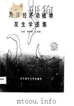 海洋经济动植物发生学图集（1990 PDF版）