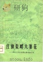 红旗渠畔大寨花  林县人民农业学大寨经验介绍（1975 PDF版）