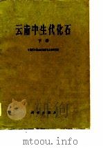 云南中生代化石  下   1977  PDF电子版封面    中国科学院南京地质古生物研究所编 