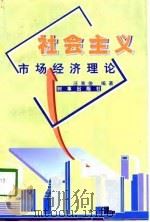 社会主义市场经济理论（1998 PDF版）