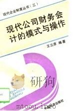 现代公司财务会计的模式与操作（1994 PDF版）