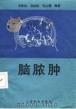 脑脓肿（1987 PDF版）