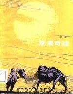 荒漠奇踪（1981 PDF版）