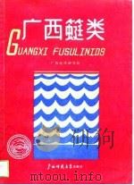 广西(竹蜓)类 1989 PDF电子版封面 广西地质研究所