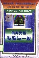 债务负担 特殊与一般 1996 PDF电子版封面 7211027290 陈文辉等著