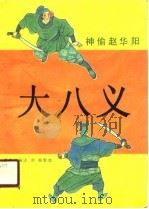 大八义 神偷赵华阳 1990 PDF电子版封面 7531302136 聂田盛编述;刘新整理