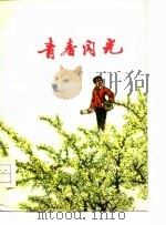 青春闪光  短篇小说集（1976 PDF版）