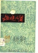 燃烧的泪  成都人民1976年悼念周总理街头诗词选（1979 PDF版）