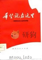 希望就在这里 湖南省社队企业典型调查 1977 PDF电子版封面 湖南省社队企业管理局编