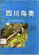四川鸟类 1991 PDF电子版封面 7540906162 徐世耕撰稿;四川省林业厅,四川省野生动物保护协会编