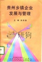 贵州乡镇企业发展与管理（1997 PDF版）