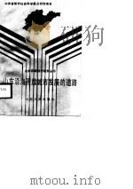 山东沿海开放城市发展的道路（1989 PDF版）
