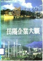 岳阳企业大观 1990 PDF电子版封面 7800720411 李碧炎等主编