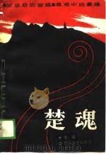 楚魂 1989 PDF电子版封面 7535402712 金辉