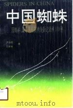 中国蜘蛛 园蛛科、漏斗蛛科新种及新记录种100种 蛛形纲:蜘蛛目 1990 PDF电子版封面 7810310429 尹长民,王家福著