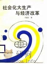 社会化大生产与经济改革 1988 PDF电子版封面 753160308X 王进良著