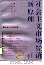 社会主义市场经济新原理 1994 PDF电子版封面 7215030431 陈斌,巫继学主编