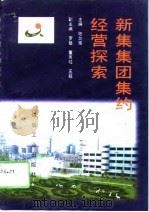 新集集团集约经营探索（1996 PDF版）