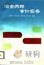 冶金内部审计实务 1992 PDF电子版封面 7502410104 董美珩等编著