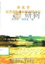 湖北省鼠类及主要病媒种群分布 1999 PDF电子版封面 7810306979 陈方才,杨明发编