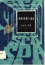 葡萄球菌A蛋白（1983 PDF版）