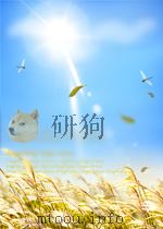 外国电影剧本丛刊特辑 1 粒粒皆辛苦 1982 PDF电子版封面