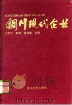 铜川现代企业（1995 PDF版）